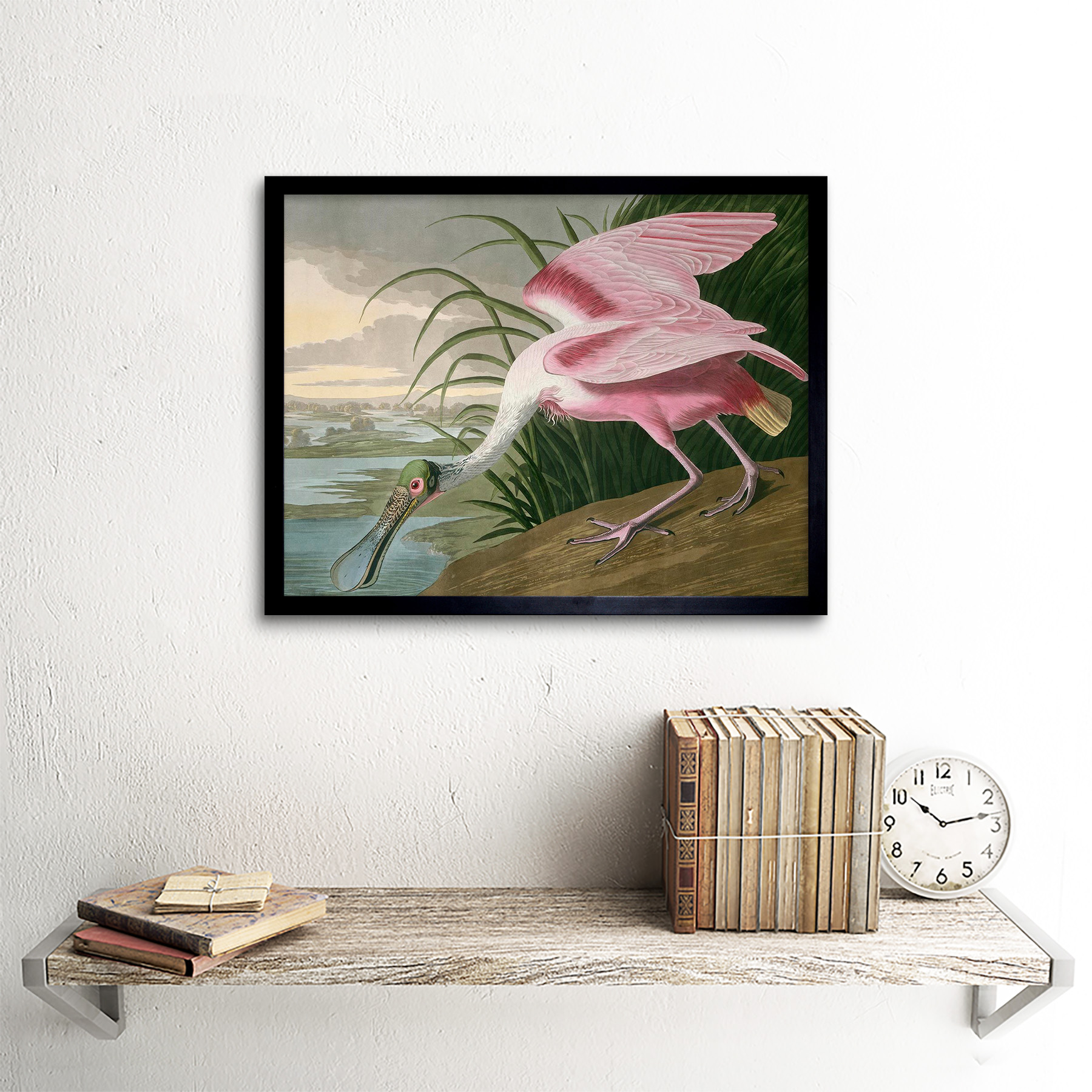American Platalea ajaja Zoología Havell Audubon 12X16 pulgadas impresión arte enmarcado