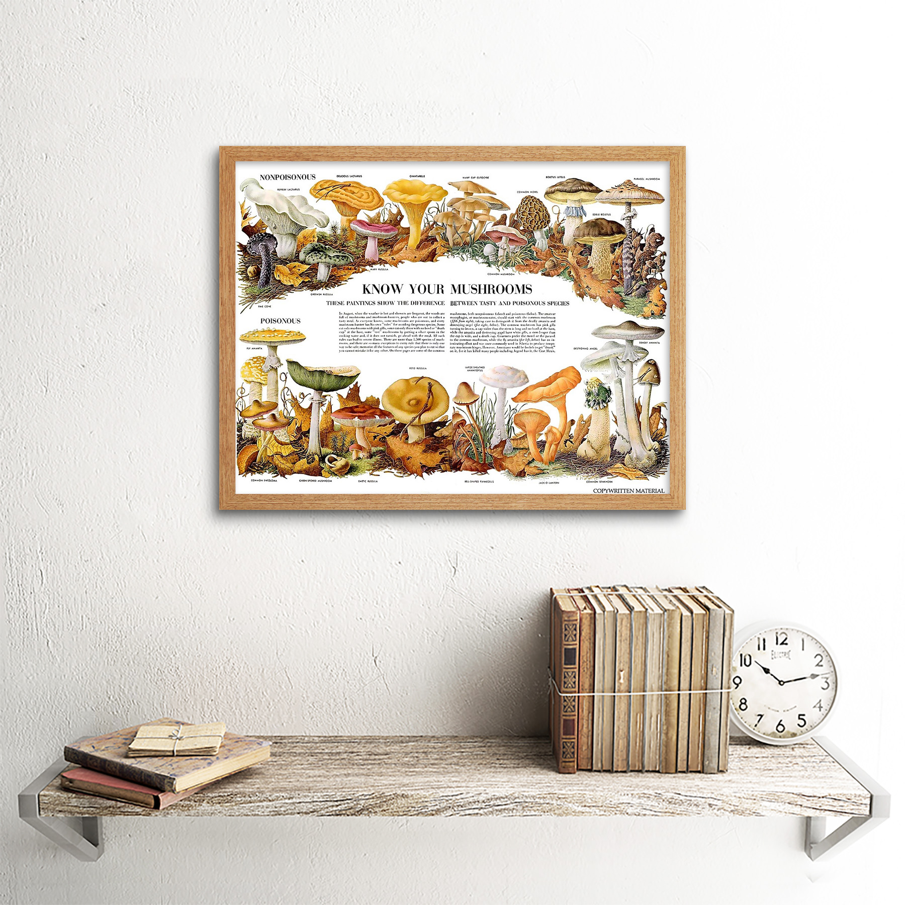 Science Biology Mycology Mushroom Gus Toadstool Chart 12X16 Inch Framed Print