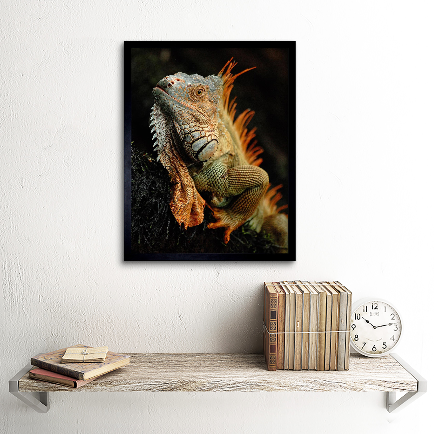 Photo Animal Iguana Lizard Reptile Scales Spines 12X16 Inch Framed Art Print