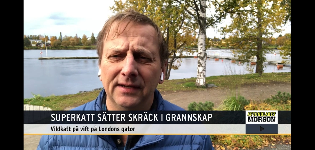 Företagsbild från Bygg och Tak AB