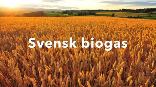 Städa mera bild 2021