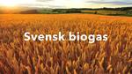 Städa mera bild 2021 Städa mera bild 2021