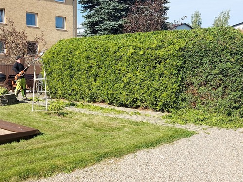 Bild Stig Nylander Trädgård & Fastighetsskötsel Aktiebolag (Foton Markarbetare, Bild Dräneringsföretag)