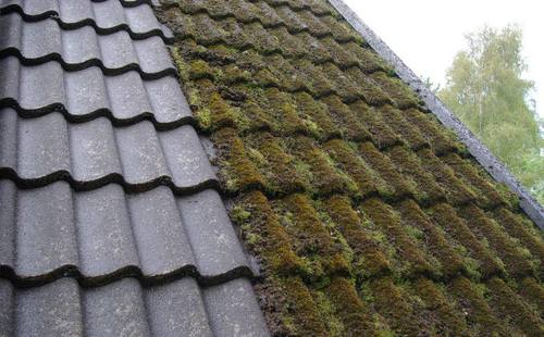 Bild Taktvättaren i Skåne AB (Foton Takläggare, Bild Takföretag)