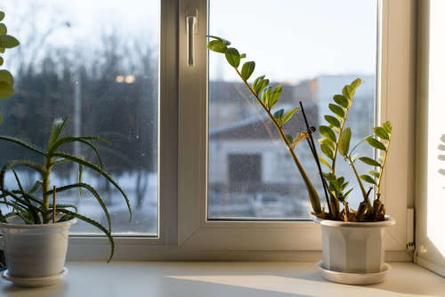 pvc fönster