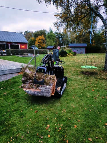 Trädfällning i Kungsbacka