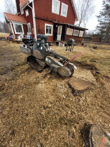 Företagsbild på Trädspecialisten AB – En arborist i Dalarnas län