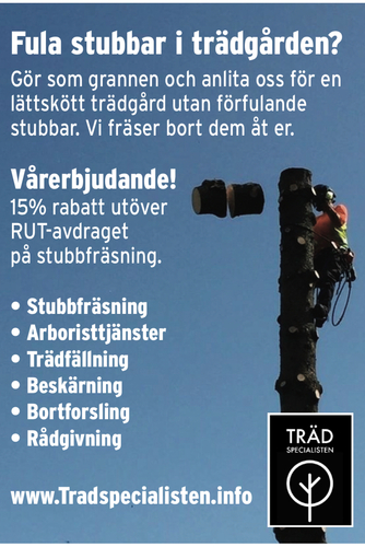 Bild på Trädspecialisten AB – arborist i Borlänge