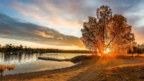 Omslagsbild Prima Solkraft