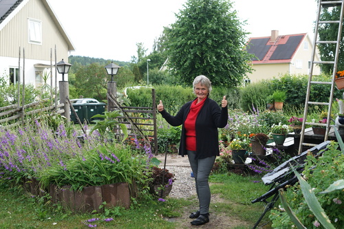 Fönsterexperter