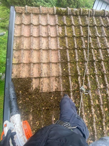 Företagsbild på Elite Takvård – Ett Företag i Skåne län 2024