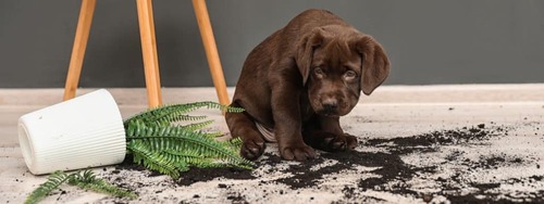 Företagsbild från Rent Resultat AB