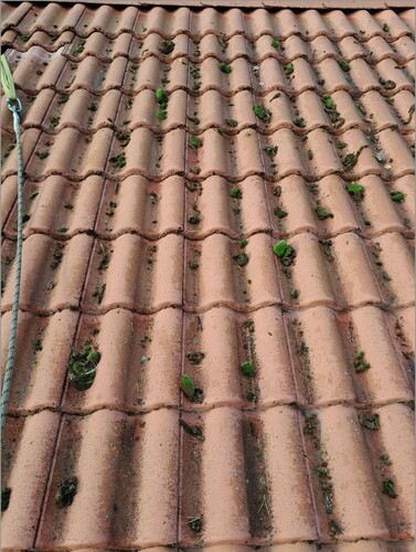 Bild på Tirus Tak AB – takläggare i Uppsala