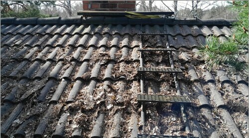 Bild på Tirus Tak AB – takläggare i Uppsala län