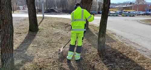 Bild på Grönskan – arborist i Säter