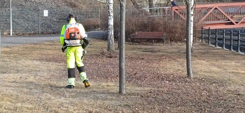 Bild på Grönskan – arborist i Dalarnas län