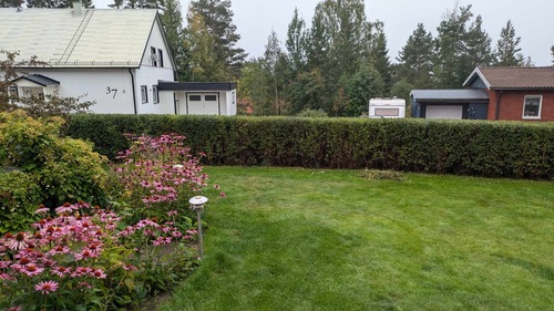 Bild på Grönskan – arborist i Dalarnas län