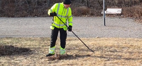 Bild på Grönskan – arboristföretag & arborist i Säter (Dalarnas län)