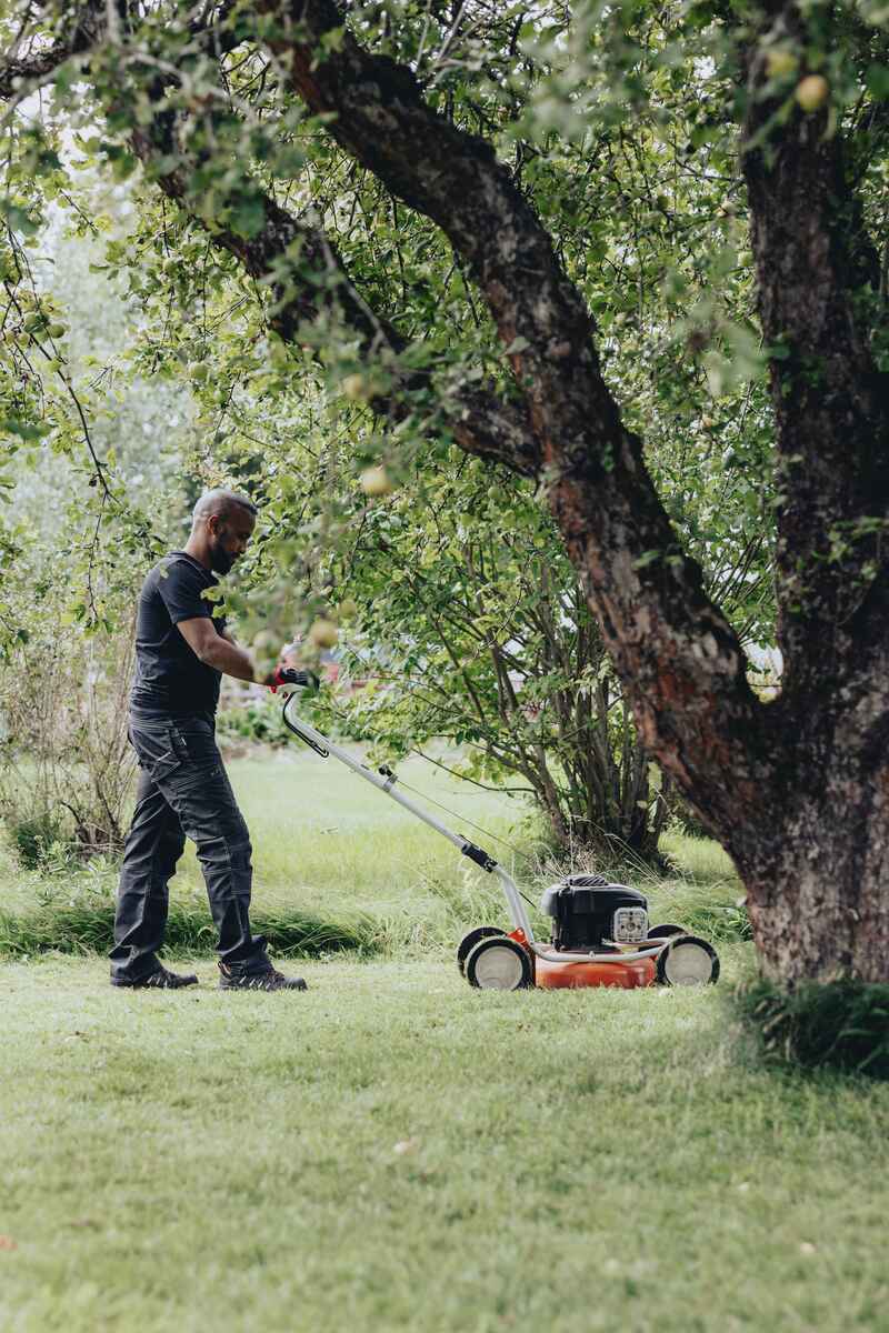 En person klipper gräsmattan med en gräsklippare i en trädgård med träd och buskar. En person klipper gräsmattan med en gräsklippare i en trädgård med träd och buskar.