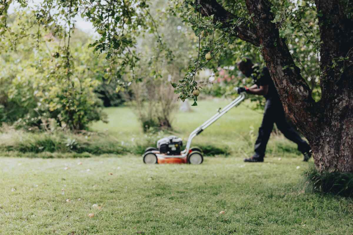 pågående gräsklippning på fastighetstomt pågående gräsklippning på fastighetstomt