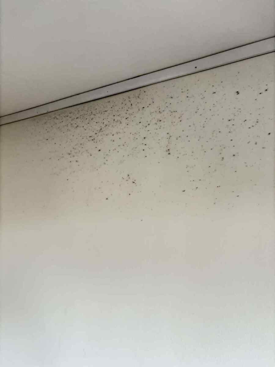 Företagsbild på All in one Solutions AB – lokalvårdare i Gävleborgs län