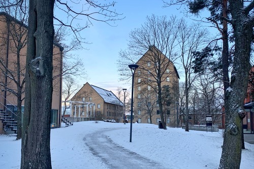 Företagsbild på Grönaberg – Ett arboristföretag i Dalarnas län 2025