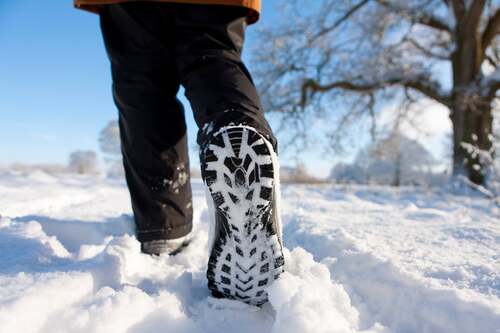 Bild på Grönaberg – arborist i Borlänge