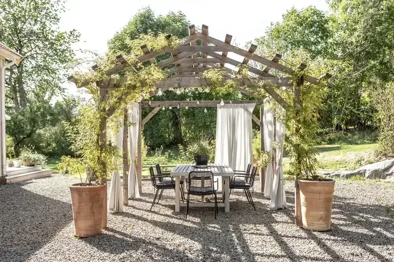 Pergola med klätterväxter och draperade gardiner över uteplats med matbord
