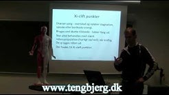 Akupunktur, Special punkter