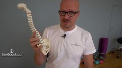 Prolaps - Kiropraktor Oslo - Den Gode Rygg