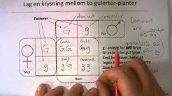 'Mendels' klassiske genetikk - for ungdomsskolen - ca. 1t 34 min. 