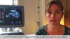 11 spørsmål om tidlig ultralyd