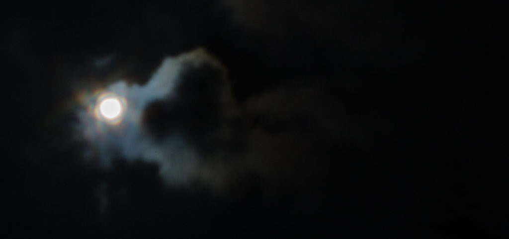 FH0319A-G12928