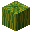 Melon — Minecraft block
