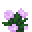 Pfingstrose
