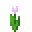 Tulipán rosa — bloque de Minecraft