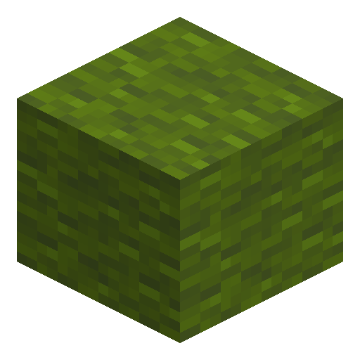 Grüne Wolle