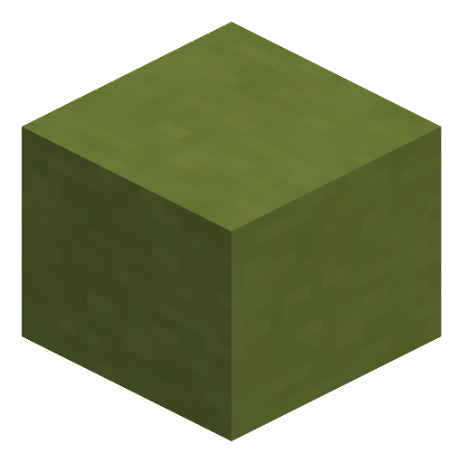 Terracota verde lima