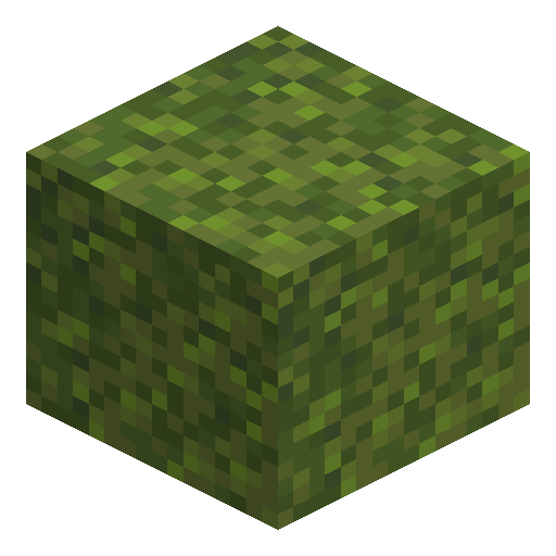 Bloque de musgo