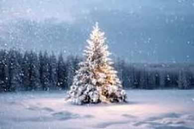 Merry Christmas and Happy New Year