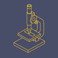 Curriculum Leaders 3