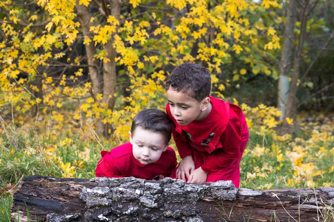 St Lawrences - 170-C0509_AI (1).jpg