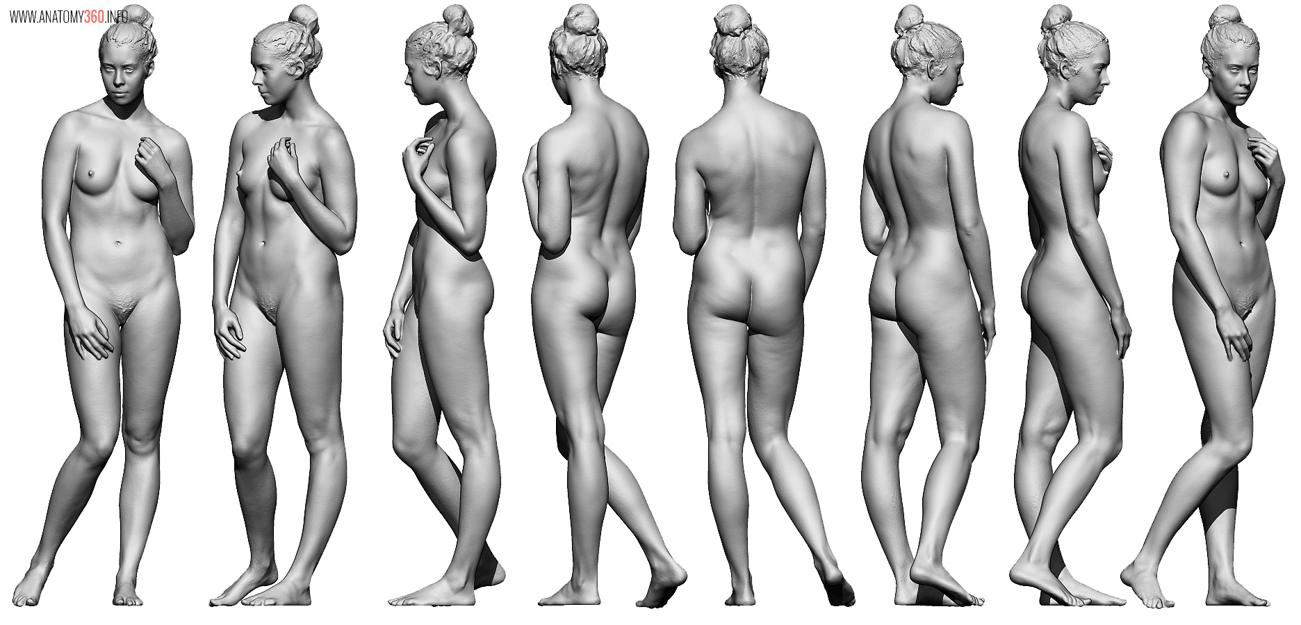 Female Body Reference - Anatomy 360