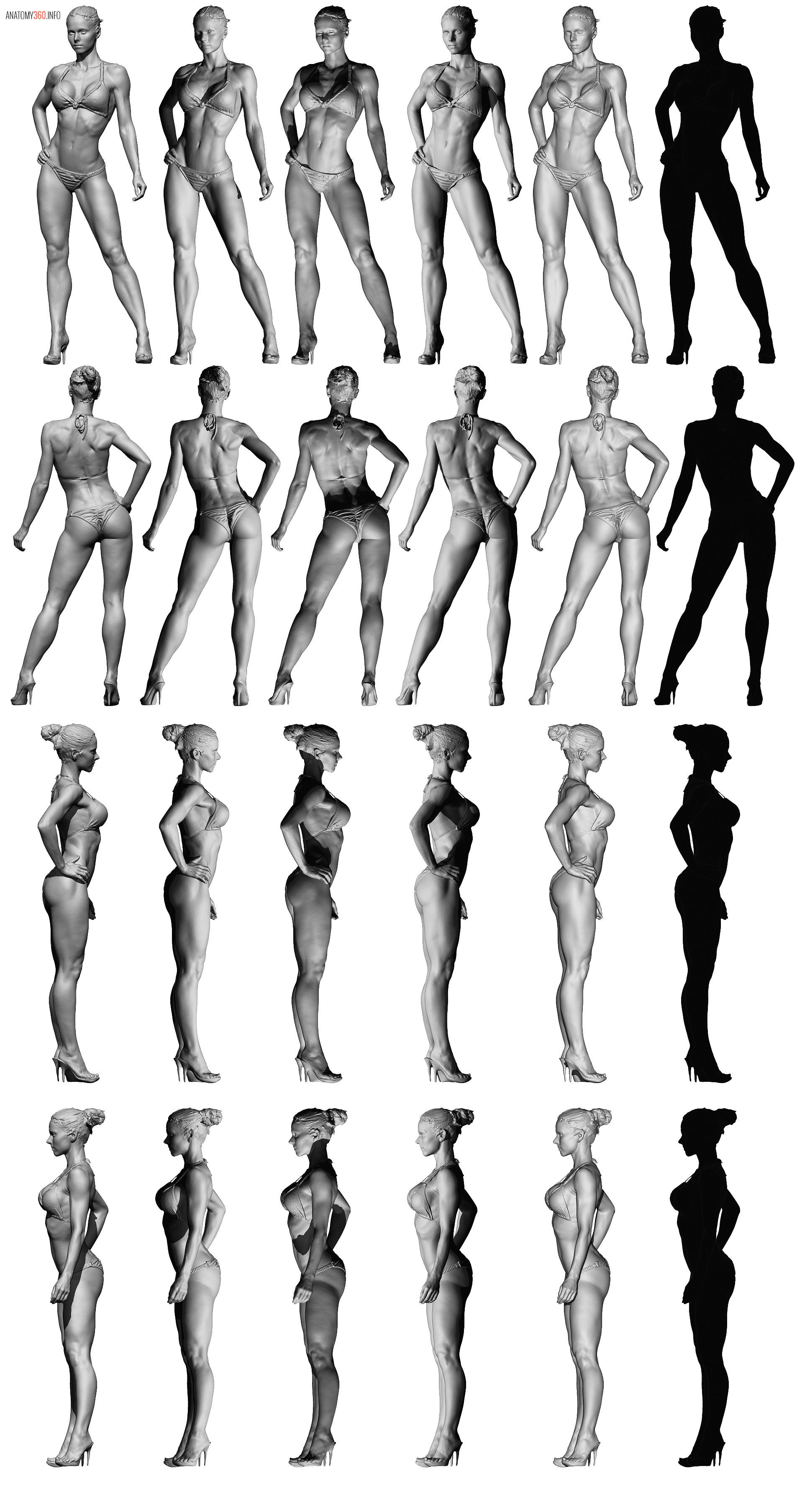 Female Body Reference - Anatomy 360