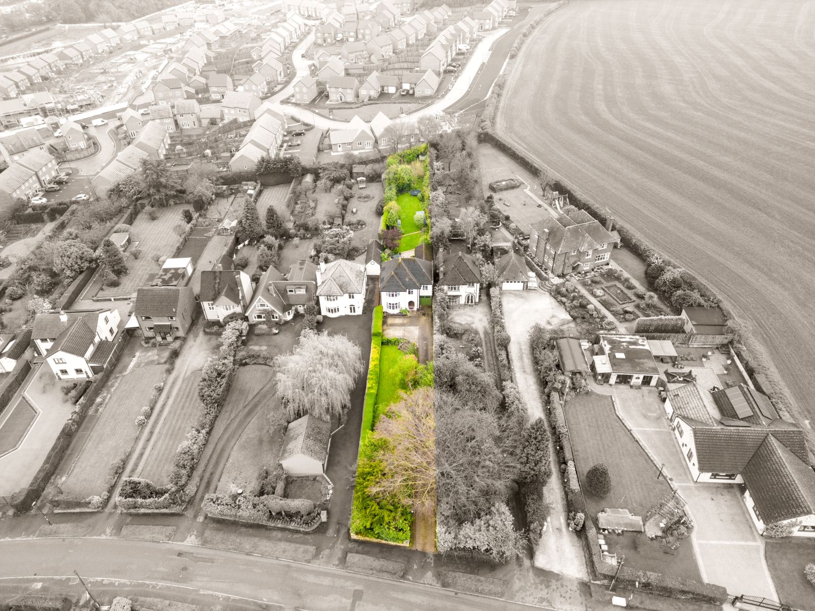 Image related to text in section