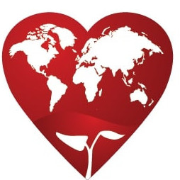 WildHearts Office Ltd