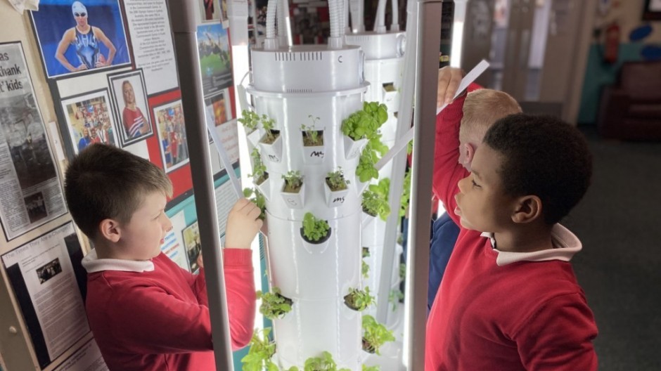 Grow@School