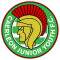 Caerleon Juniour Youth Football Club