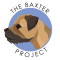 The Baxter Project