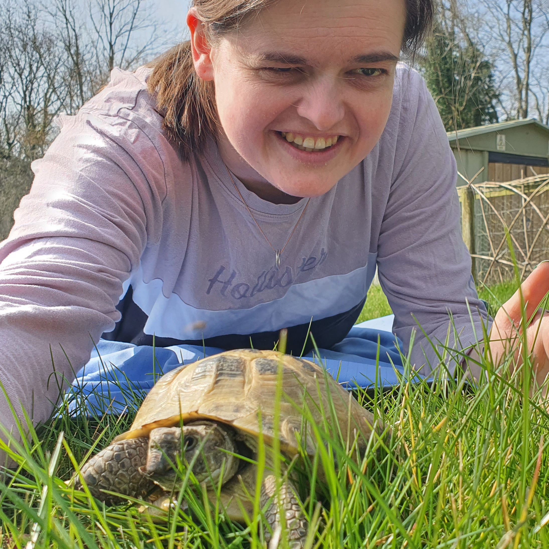sponsor our animals through our website. Get a certificate and gift card in return for a donation towards a specific animal type on our smallholding